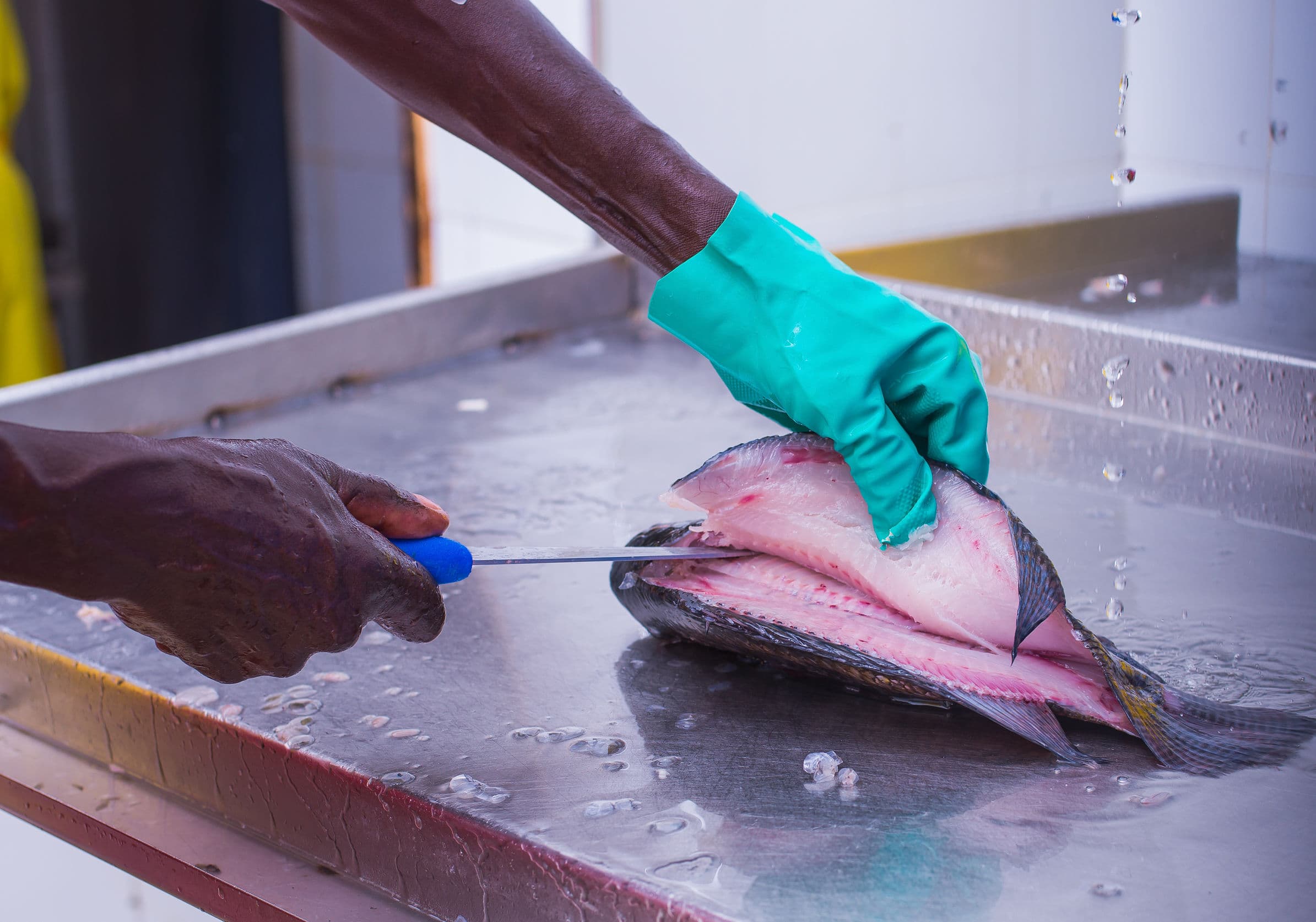 Cold Chain Logistics